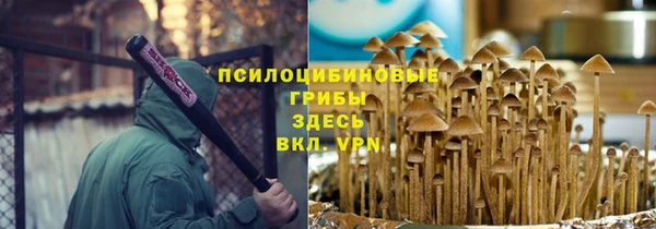 синтетический гашиш Алексин