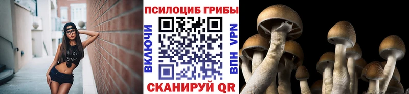 Псилоцибиновые грибы Magic Shrooms  Шатура 